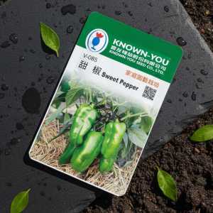 Known-you V-065 Sweet Pepper Seeds | Premium Green Bell Pepper for Home Gardening