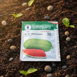 Known-you V-105 Oblong Watermelon Seeds - High Yield Sweet Red Flesh Variety