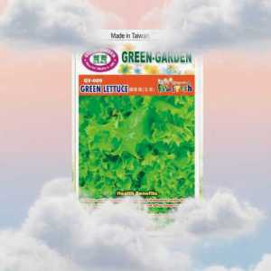 Green-garden Mv-005 Green Lettuce Seeds | Antioxidant Rich, High Yield, Made in Taiwan