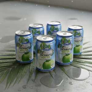 Lipa Young Coconut Water - Natural Hydration Beverage Can - Pack of 3