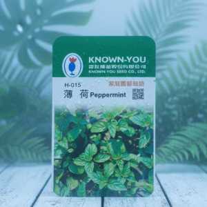 Known-you Peppermint Seeds - H-015 (2 Pack) - Aromatic Mint for Garden & Culinary Use