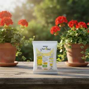 Nestlé Pineapple Flavored Fruit Drink 200g Source of Vitamin C , low Calories