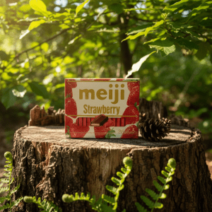 Meiji Strawberry Chocolate Snack Sticks -Japanese Sweet Treats 120g