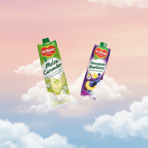 Del Monte Melon 1L Cucumber | Pineapple Blueberry Juice Drink Cartons